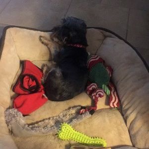 Meet your Posher, Christy